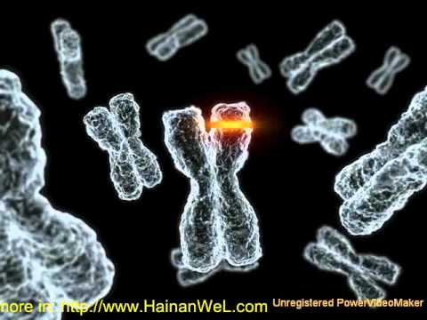 Scientists have found a gene predictor of the death Ученые нашли ген предсказатель времени смерти