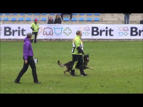 Milena Pufrová & Jaro Ja-He FCI 2013