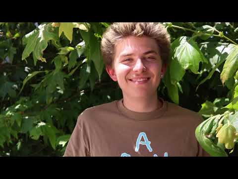 DeeLux: Buy, Sell, Trade - Andrew