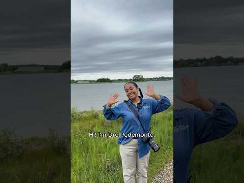 A week in my life as a Mystic Aquarium Fellow (Dre’s Version)