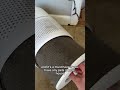 Use This To Keep Air Clean If You Have Indoor Pets Levoit Airpurifier Cat