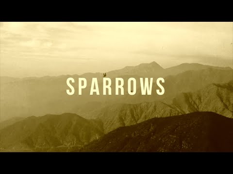 Jason Gray - "Sparrows (Acoustic)" [Official Lyric Video]