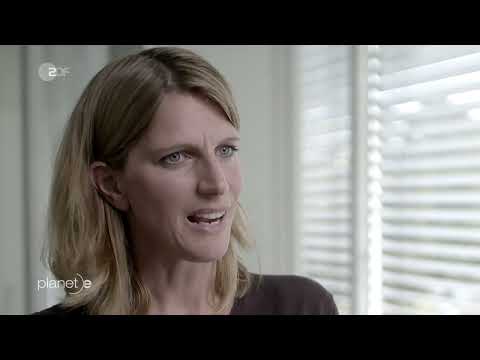 planet e.: Energiewende 2.0 – Der Klimaschutz der Konzerne Doku (2019)