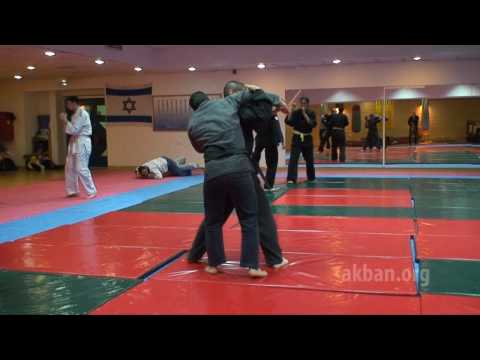 Ketsumyaku no kata - 1st level Gyokko ryu for Akban wiki