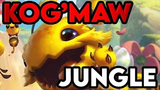 KOG'MAW JUNGLE KOG'MAW JUNGLE KOG'MAW JUNGLE !