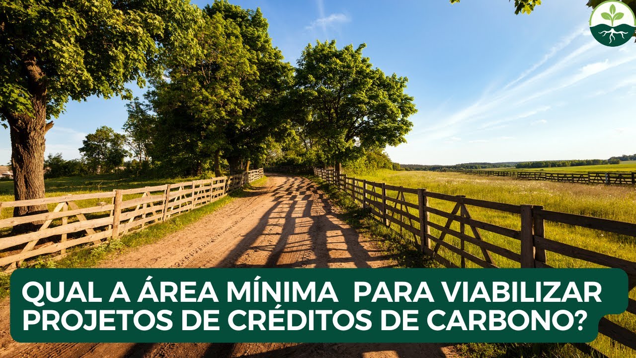 Qual é a área mínima  para viabilizar  projetos de créditos de carbono?