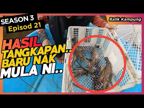 tips memancing buaya, anjing atau kucing sebagai umpan yang mana paling sesuai? SE03EP21
