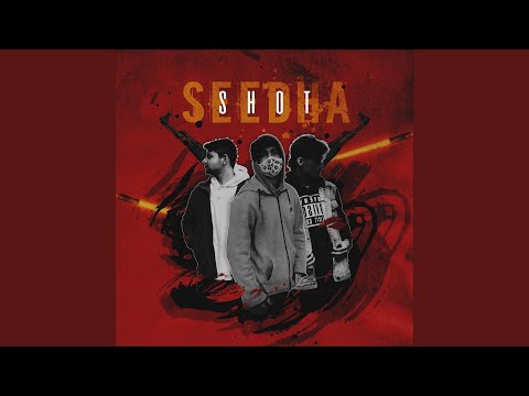 Seedha Shot