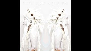 Velvet Elvis 
