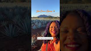 Valentine’s Day train ride ideas #traintravel #trainride #traintrip #travel #valentinesday