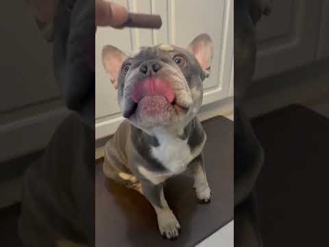 I make the best hot chocolate ☕️. #partymusic #palmer #unsignedartist