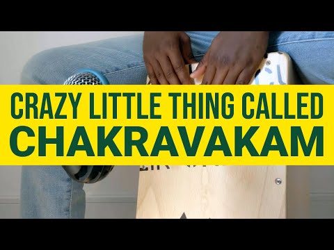 #FunWithChakravakam | Bass & Cajon Cover