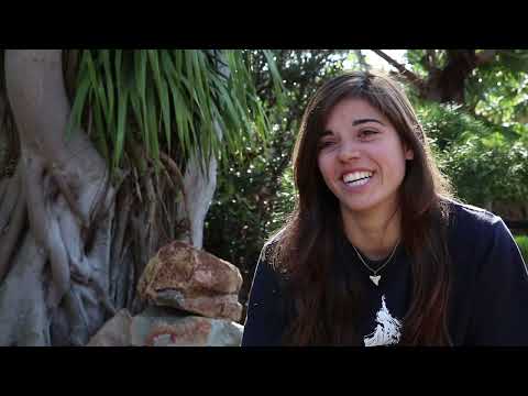 Shark & Dolphin Field-based Research & Conservation Training — video