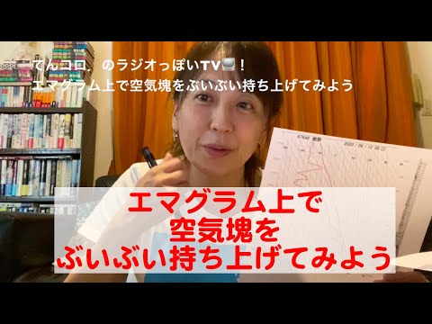 エマグラムについて詳しく解説