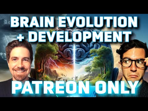 Human Evolution & Brain Development (The Social Brain - Patreon ep 4)