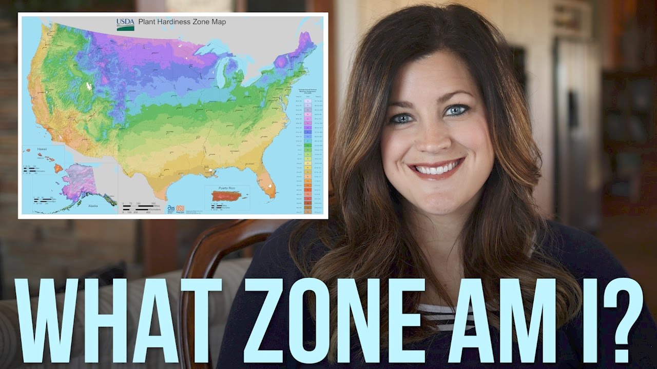 US Plant Zones: Explained // Garden Answer