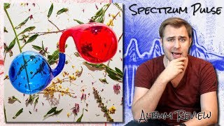 Dirty Projectors - Lamp Lit Prose - Album Review