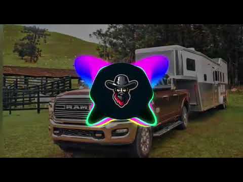 Biu do Piseiro, Marquinhos Lima, Anderson Cantor Rave e Bagaceira com grave