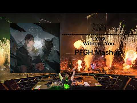 Brooks LYNX vs Avicii Without you (PFGH Mashup)
