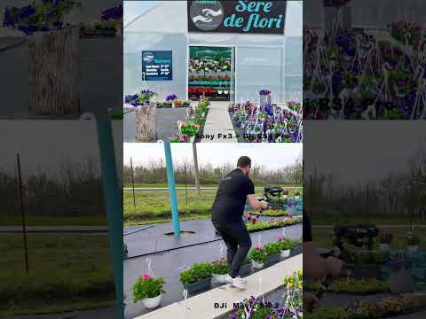 How to walk with a gimbal!  Ninja walk #gimbalwalk #sonyfx3 #djirs4pro