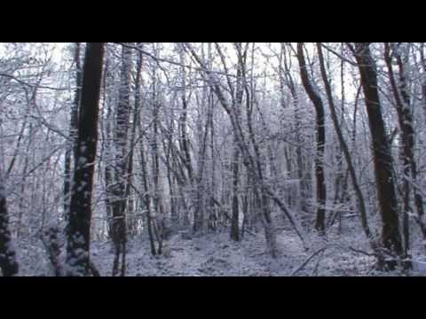 Le Banquet - Une Aventure D'Andreas Köhler