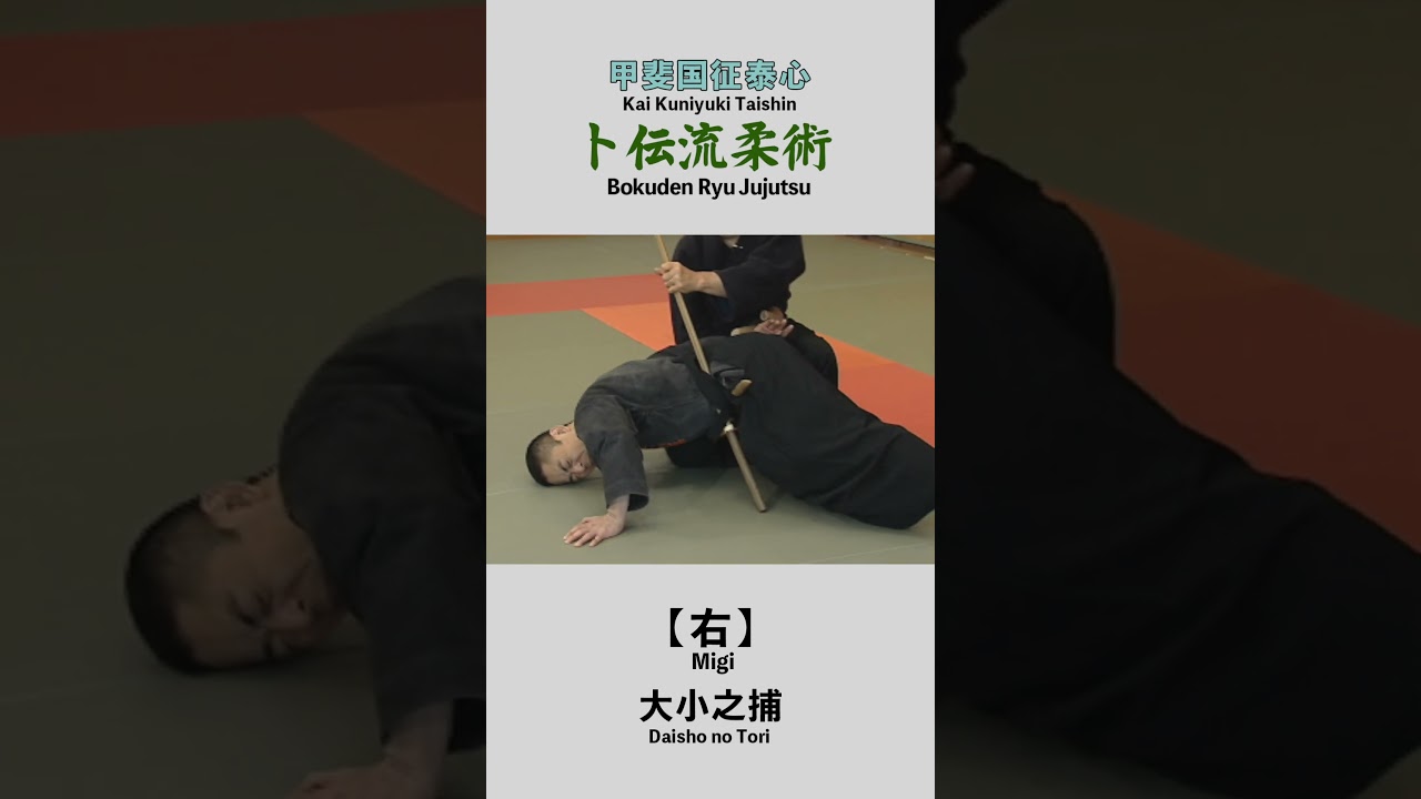 Bokuden Ryu Jujutsu【Migi】Daisho no Tori 卜伝流柔術【右】大小之捕 #shorts