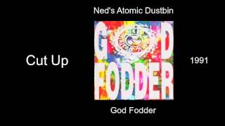Ned's Atomic Dustbin - Cut Up - God Fodder [1991]