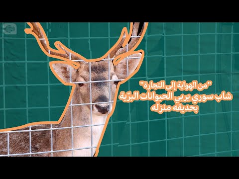 من الهواية إلى التجارة .. شاب سوري يربي حيوانات برية في حديقة منزله