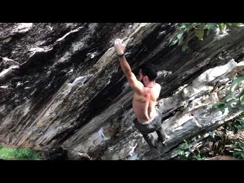 Papo torto, V3. Cocalzinho de Goiás