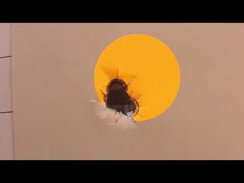 Interesting Shotgun Slugs Rock