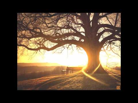 Suncatcher feat. Aneym - Underneath My Skin (Original Mix) wmv