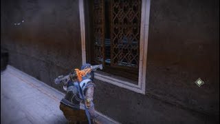 【Destiny2】虎猫