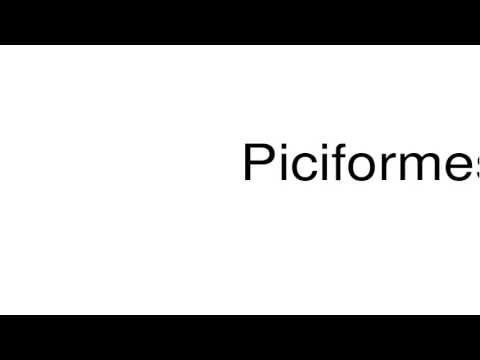 How to pronounce Piciformes