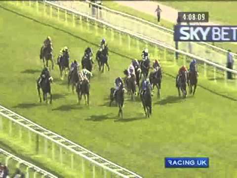 York Ebor Festival 2010 - Racing Post Convivial Maiden Stakes