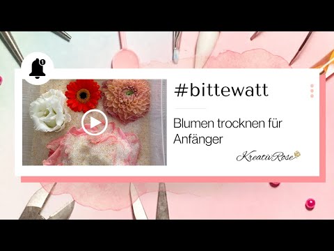 Blumen trocknen für Anfänger