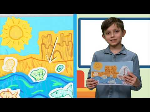 Beehive 1 Project Unit 4