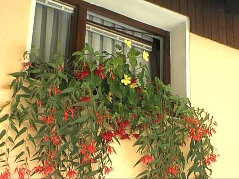 Mlinar-BLOŠKI ODMEV