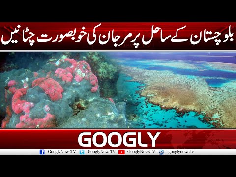 Balochistan Kai Sahil Per Marjan Ki Khubsurat Chatanain | Googly News TV