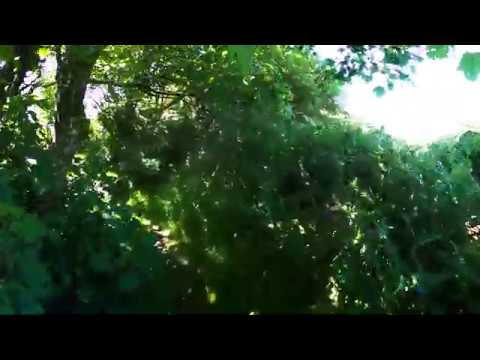 A Walk to Sancreed Well