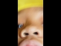 Amar And Kai Lynn Its Time For Fun And BATTLE