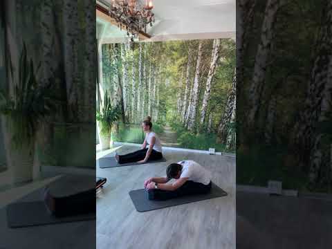 tri-dent VitalitätsOase Falkensee - Yoga Energiestellung 2A Vorwärtsbeuge