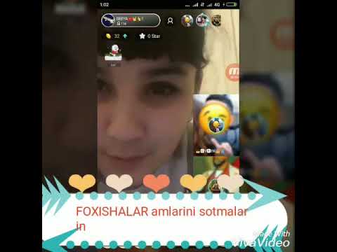 Deydi bigo mamarozasi