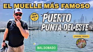 Lo que los turistas no ven en el Puerto de Punta del Este