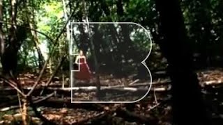 My Brightest Diamond - Disappear - A Take Away Shows