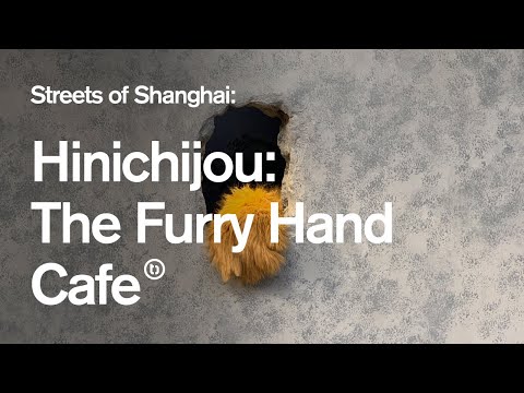 Você não vai ACREDITAR como este Café de Xangai serve café! Yongkang Lu's Hinichijou
