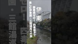 初めての伊東園グループ、「伊東園ホテル本館」に宿泊してきました!(2026年3月末の旅行記です)今回は、普段から実践している「四毒抜きを旅先でも徹底!さらにホテルの無料サービスや伊東の魅力を紹介!
