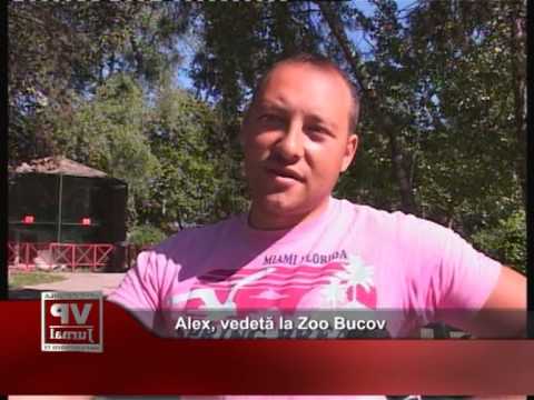 Alex, vedetă la Zoo Bucov