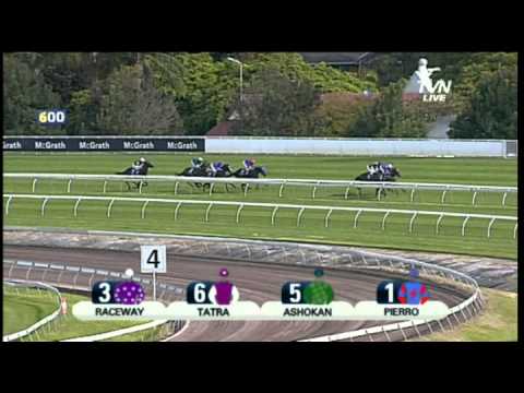 2012 Inglis Sires Produce Pierro