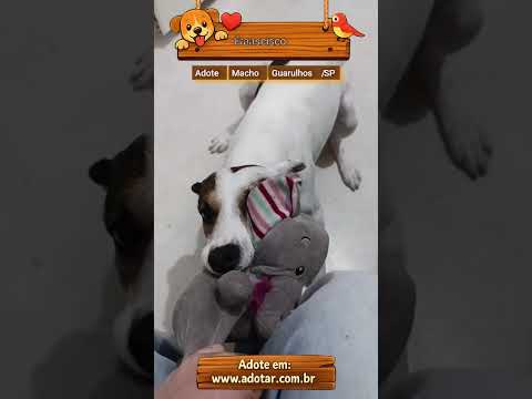 Vídeo de Franscisco 