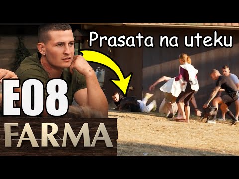 Farma 14 E08 - Prasatá na úteku